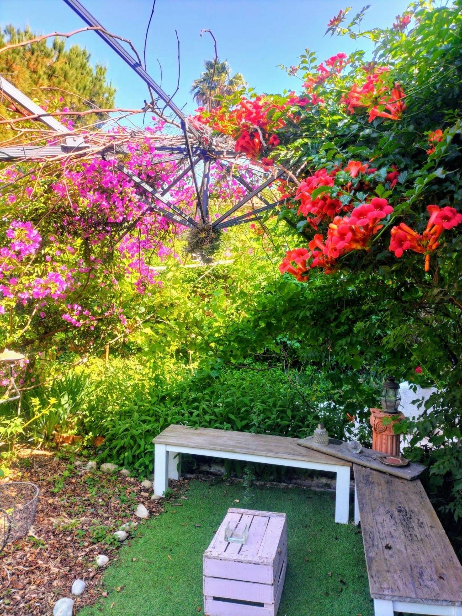 Villa Bellabe Nice Dış mekan fotoğraf